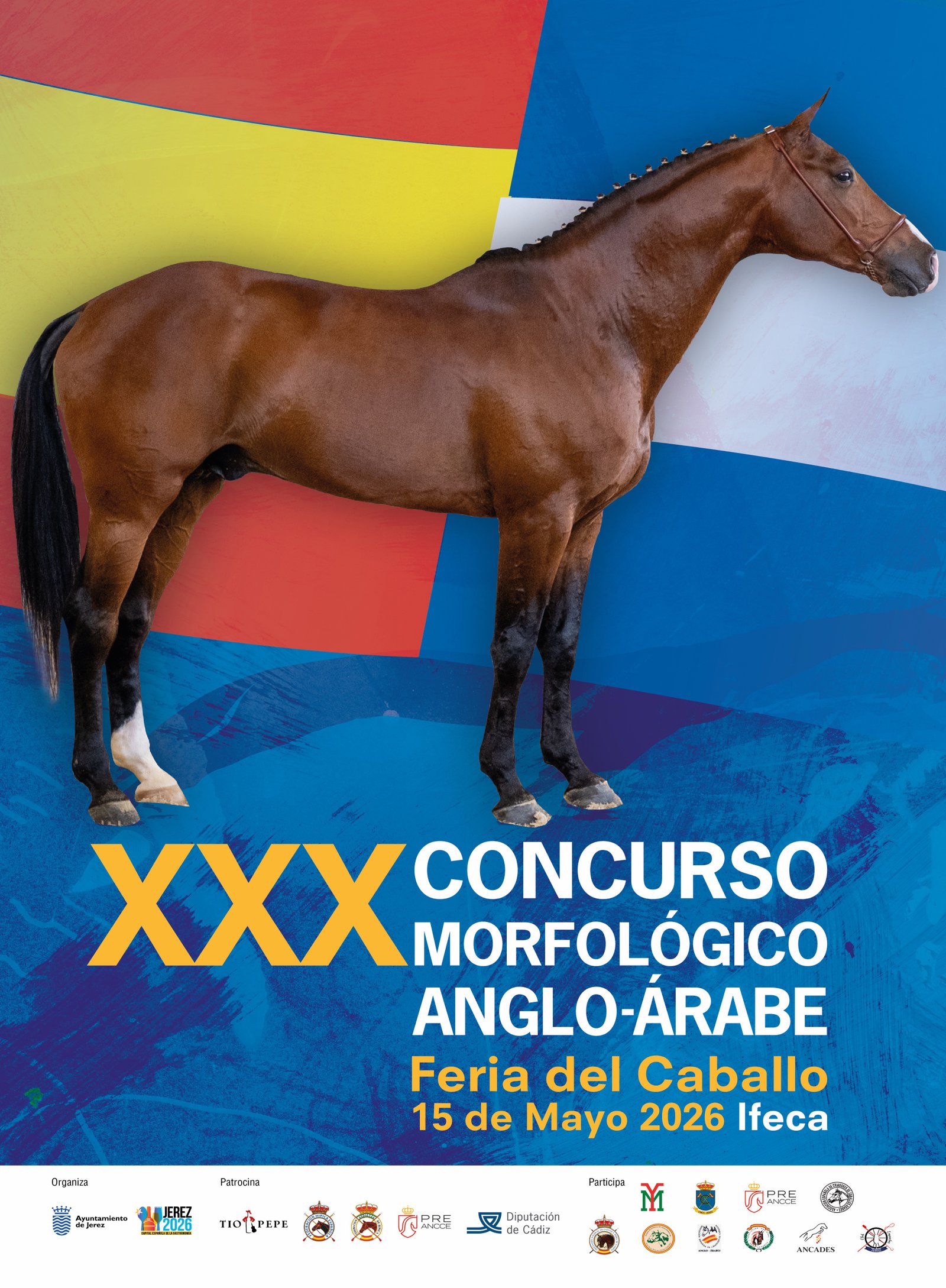 XXX Concurso Morfológico Anglo-Árabe – Feria del Caballo Jerez 2026