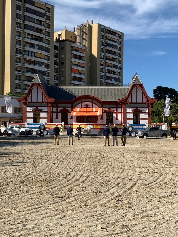 Feria Ecuestre de Jerez 2026