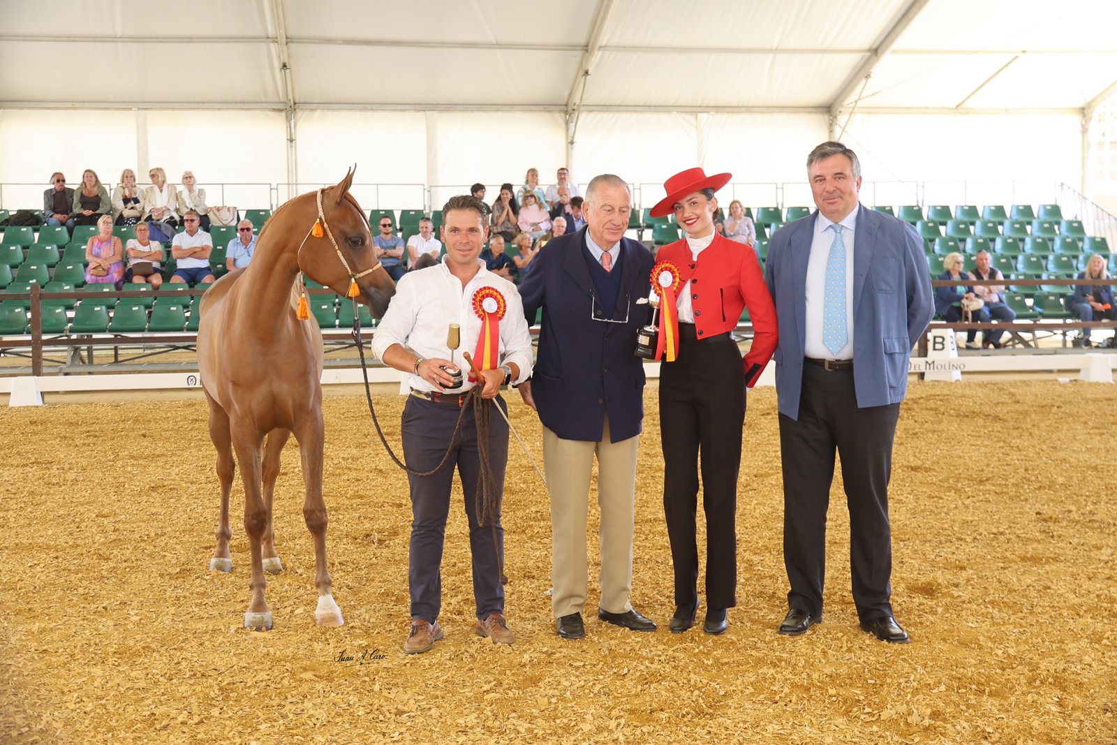 Yeguada Domecq Ybarra, Premio al Mejor Criador — LIX Concurso Morfológico Pura Raza Árabe 2026
