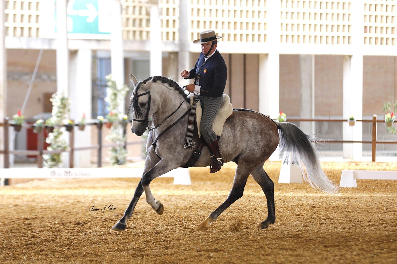 Gran Premio Doma Vaquera y Manejabilidad y Velocidad ET — 10 de mayo 2026