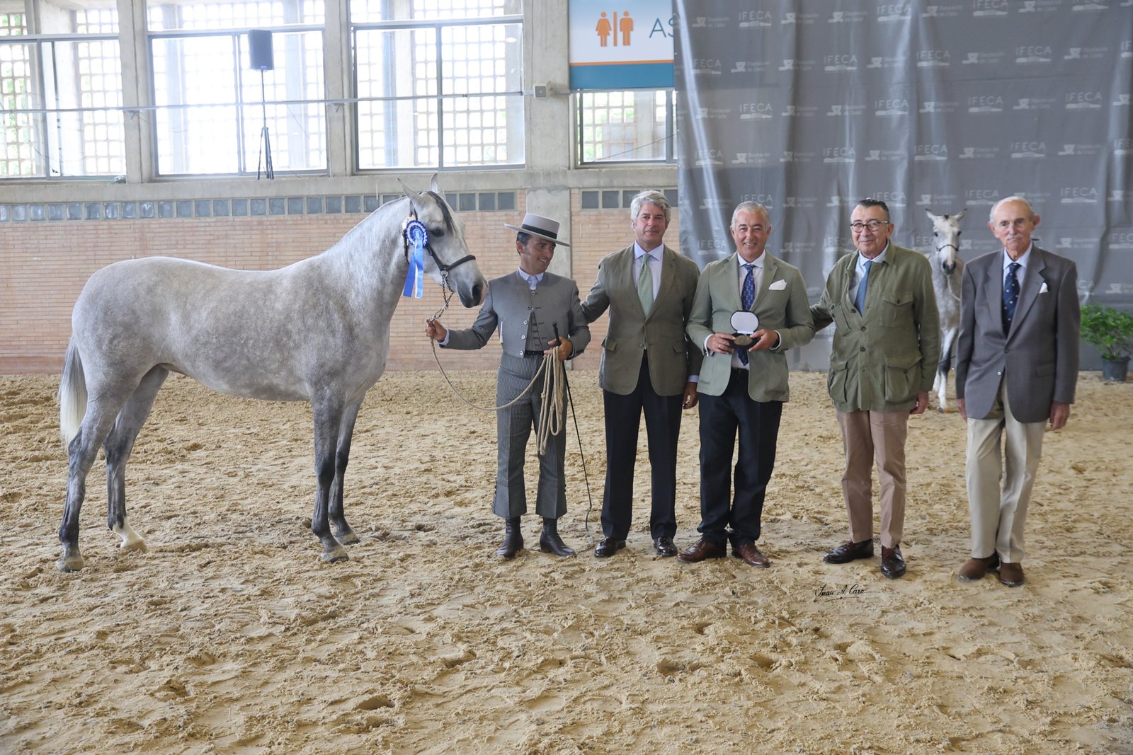 Jornada 13 mayo — Morfológicos PRE e Hispano-Árabe — Feria Ecuestre Jerez 2026