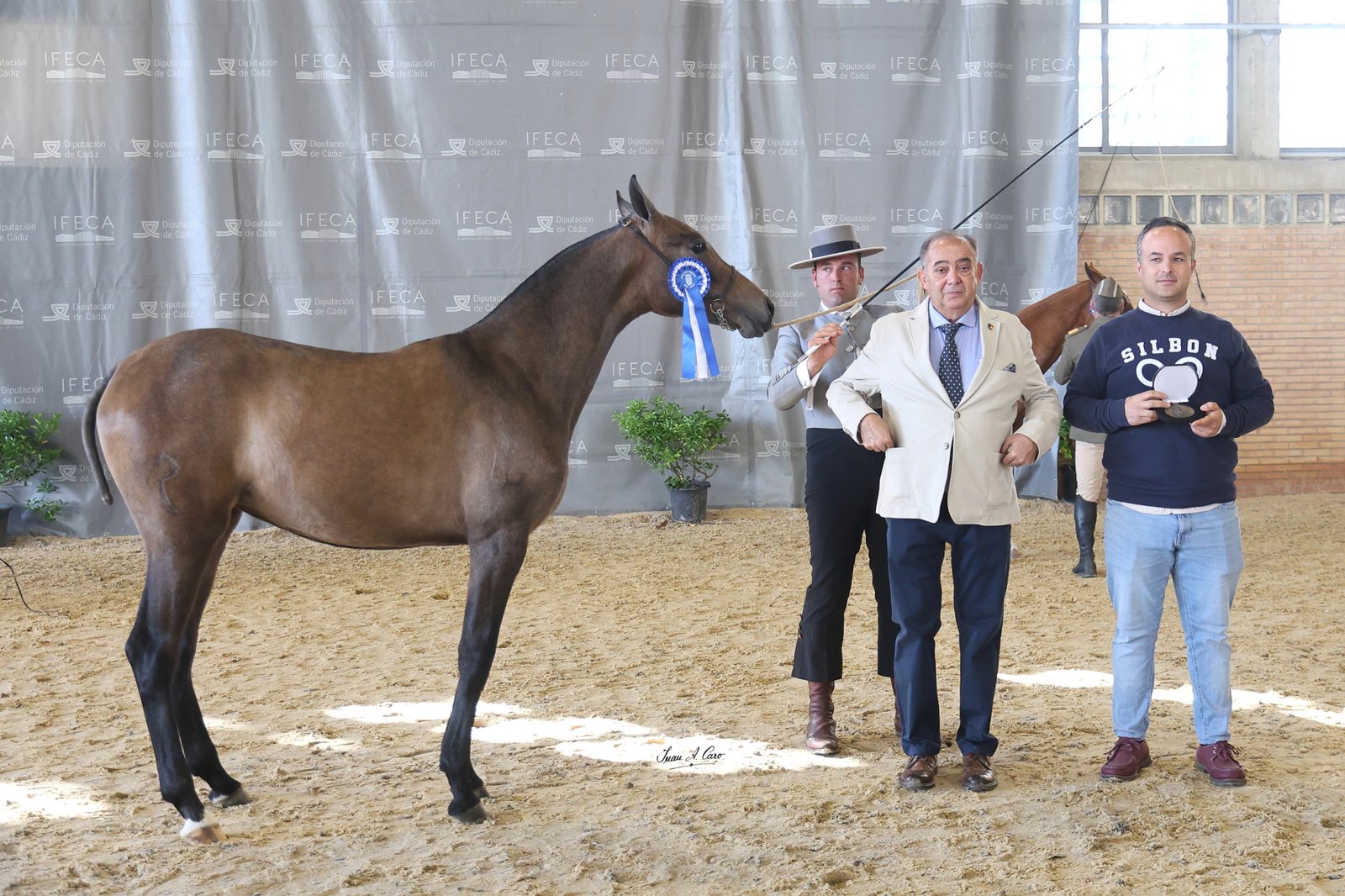 Gallineta PR 50% — 1ª Hembras de 1 Año · Concurso H.Á. Jerez 2026