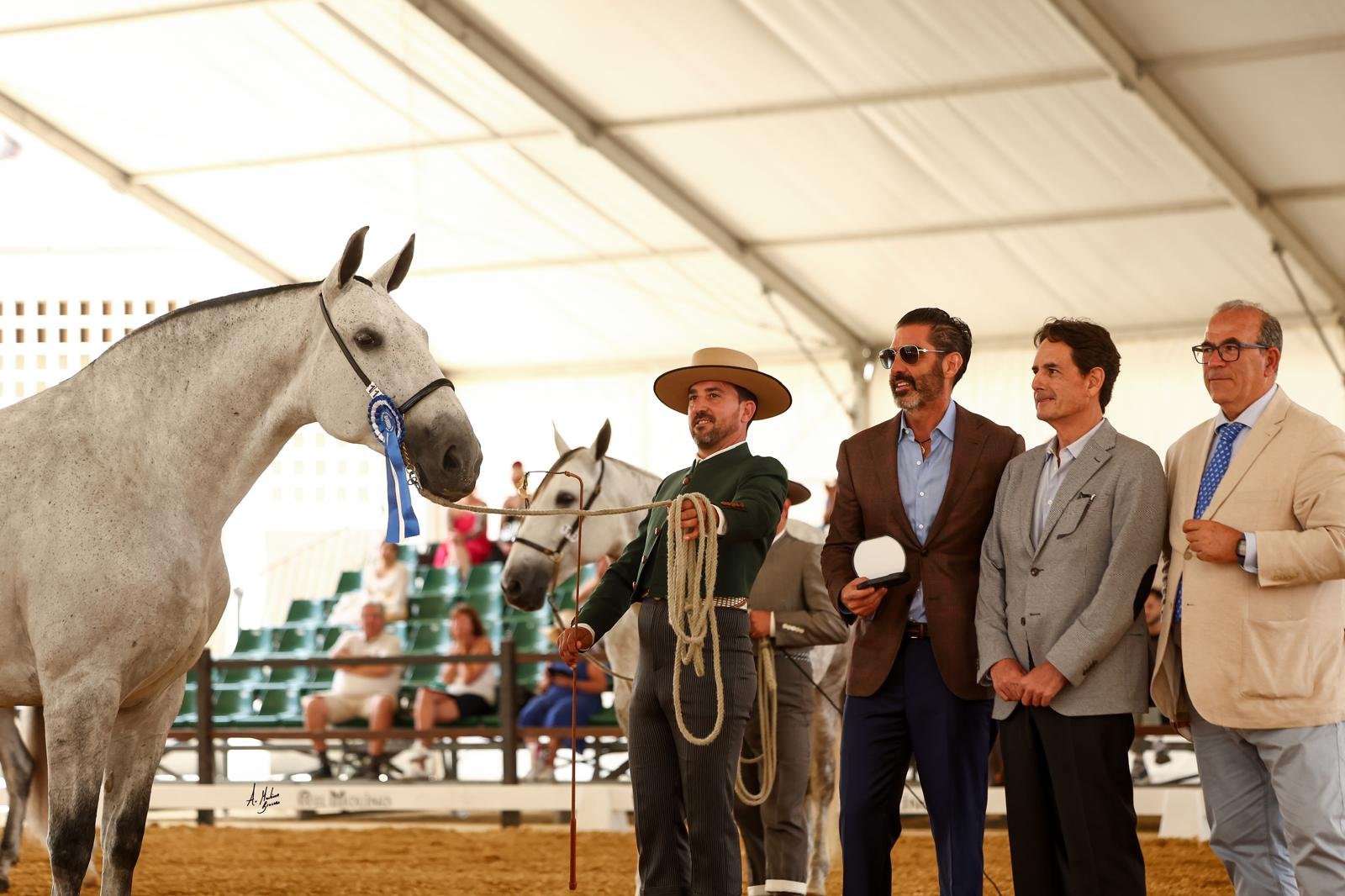 Segunda jornada Morfológicos PRE e Hispano-Árabe — Feria Ecuestre Jerez 2026