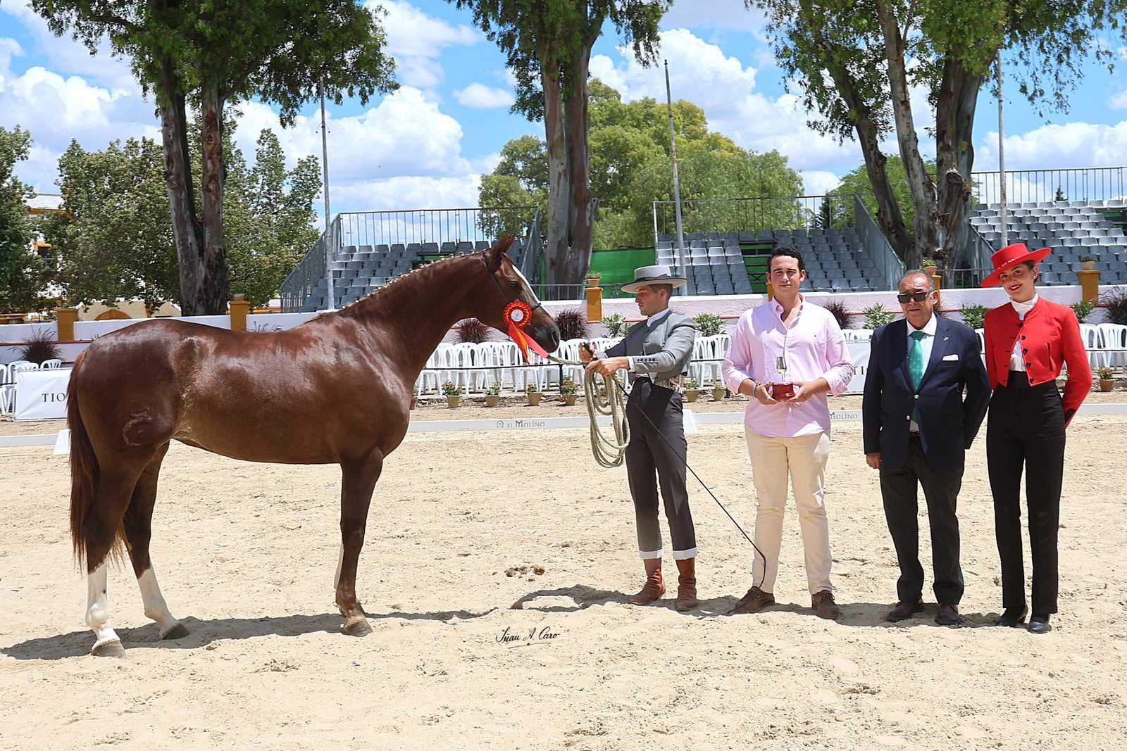 Mejores Aires H.Á. — GIRALDA HCG 50%, Álvaro Castilla Gil · Jerez 2026