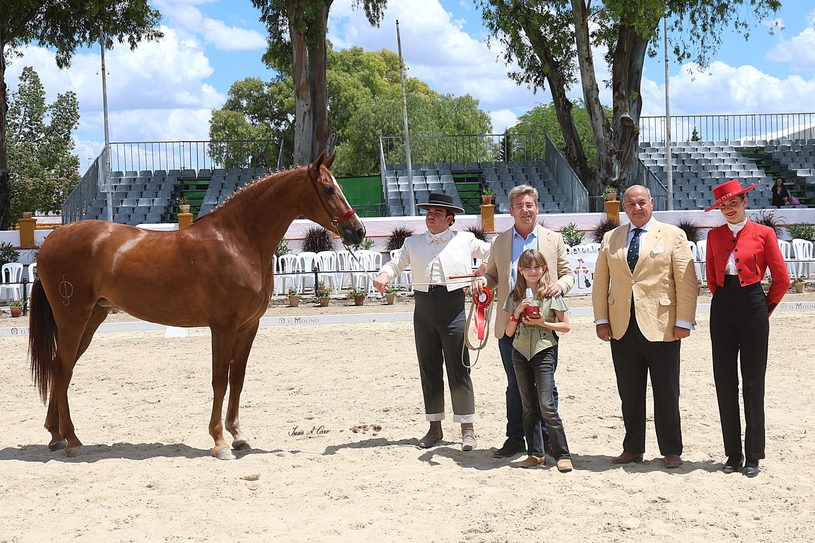 Subcampeona de la Raza H.Á. — PRINCESA IV 50%, Yeguada Los Majuelos · Jerez 2026