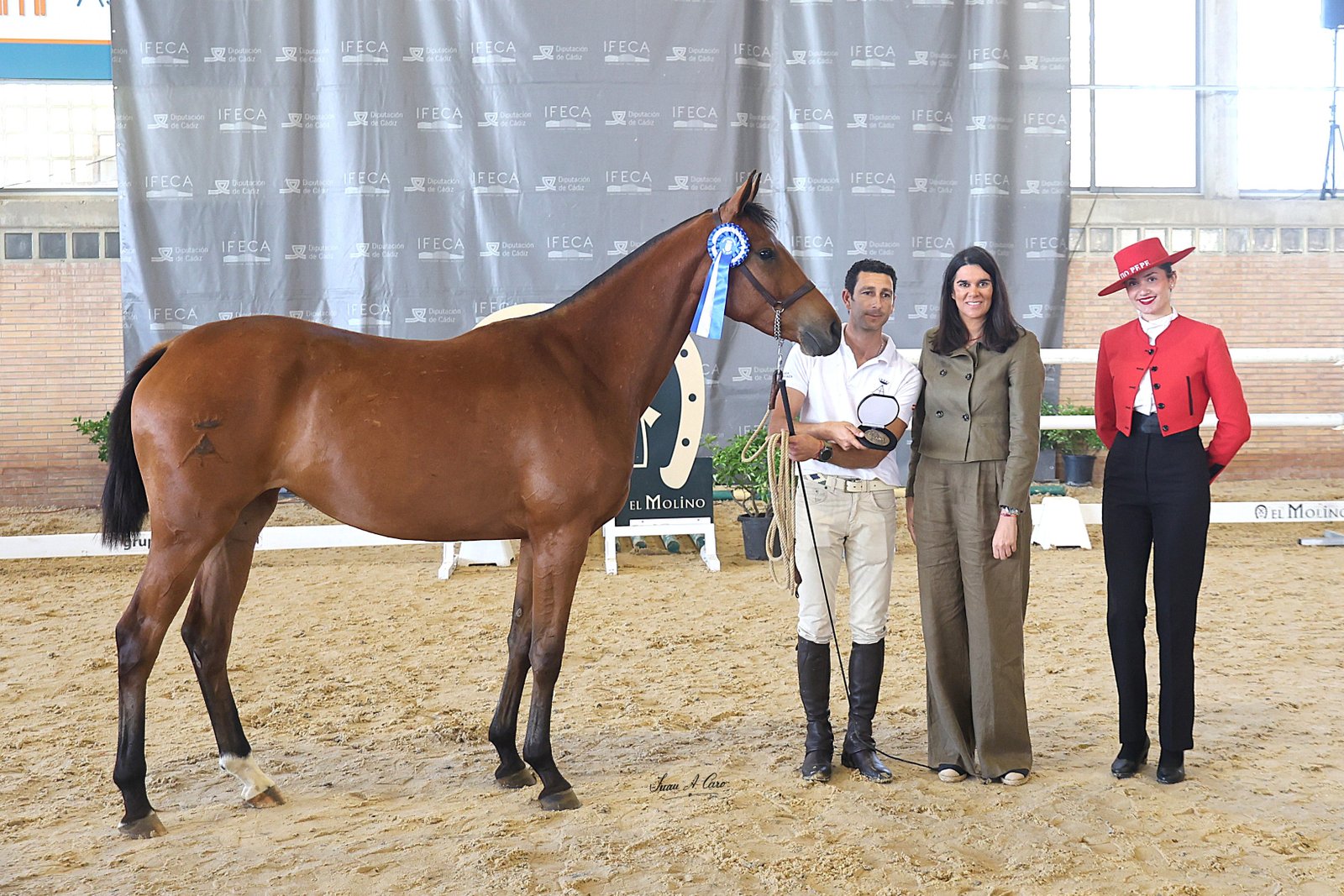 1ª Sección III: ITÁLICA, AA — Yeguada Almenara Alta CB