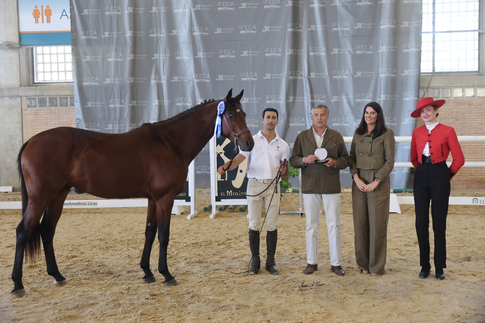 1º Sección VI: HISPANO, AA — Yeguada Almenara Alta CB