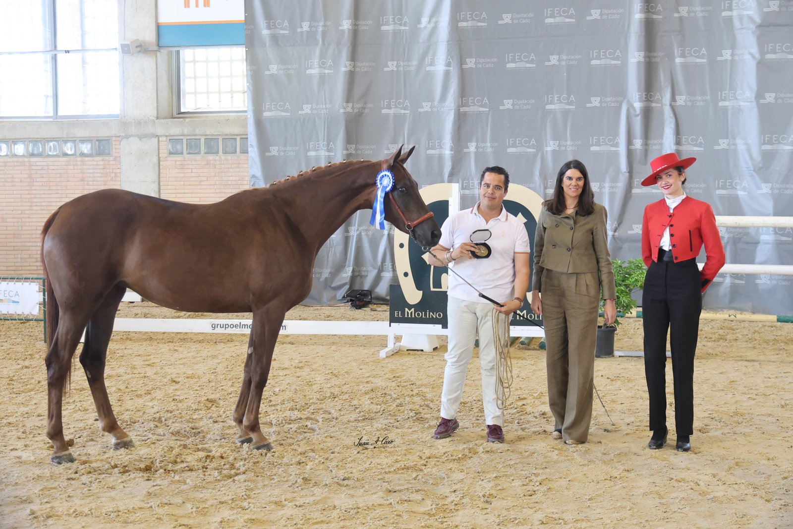 1ª Sección VII: ISEA JG — Yeguada Bodega