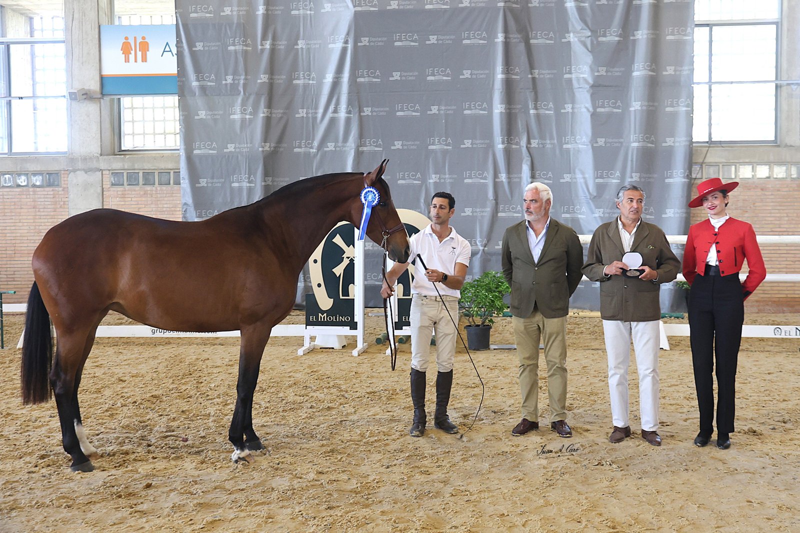1ª Sección IX: BATURRA II, AA — Yeguada Almenara Alta CB