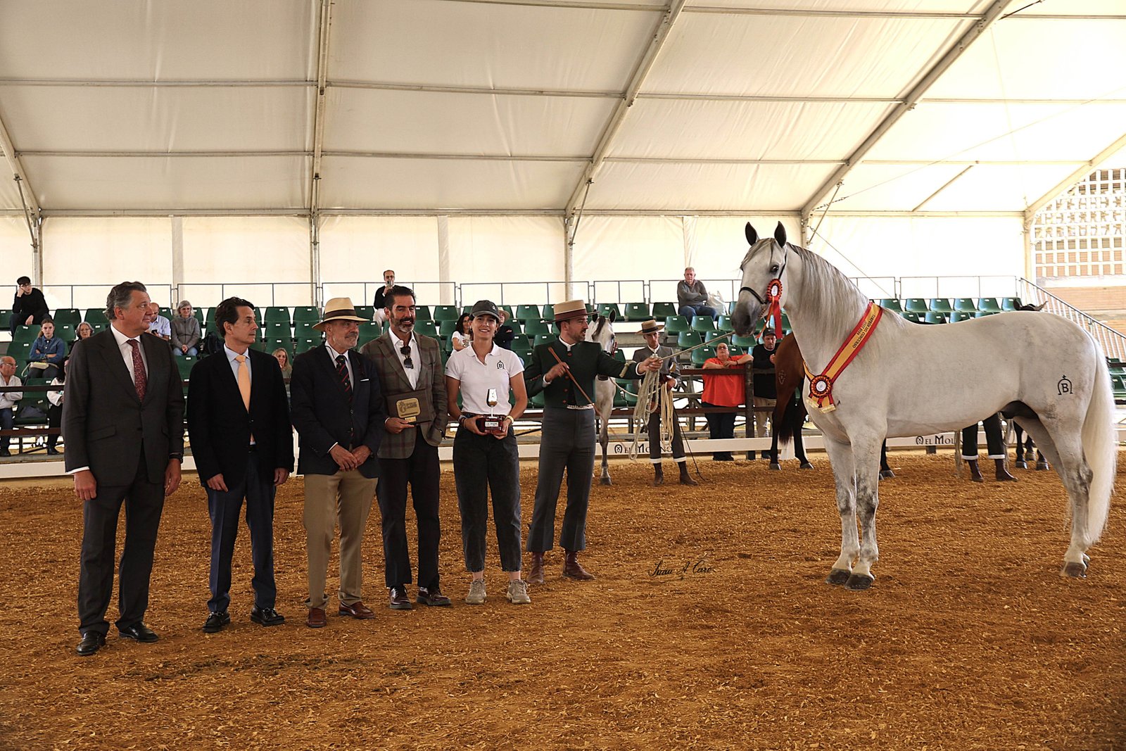 Campeón Adulto del Concurso — DEBER BAT, Yeguada Batán