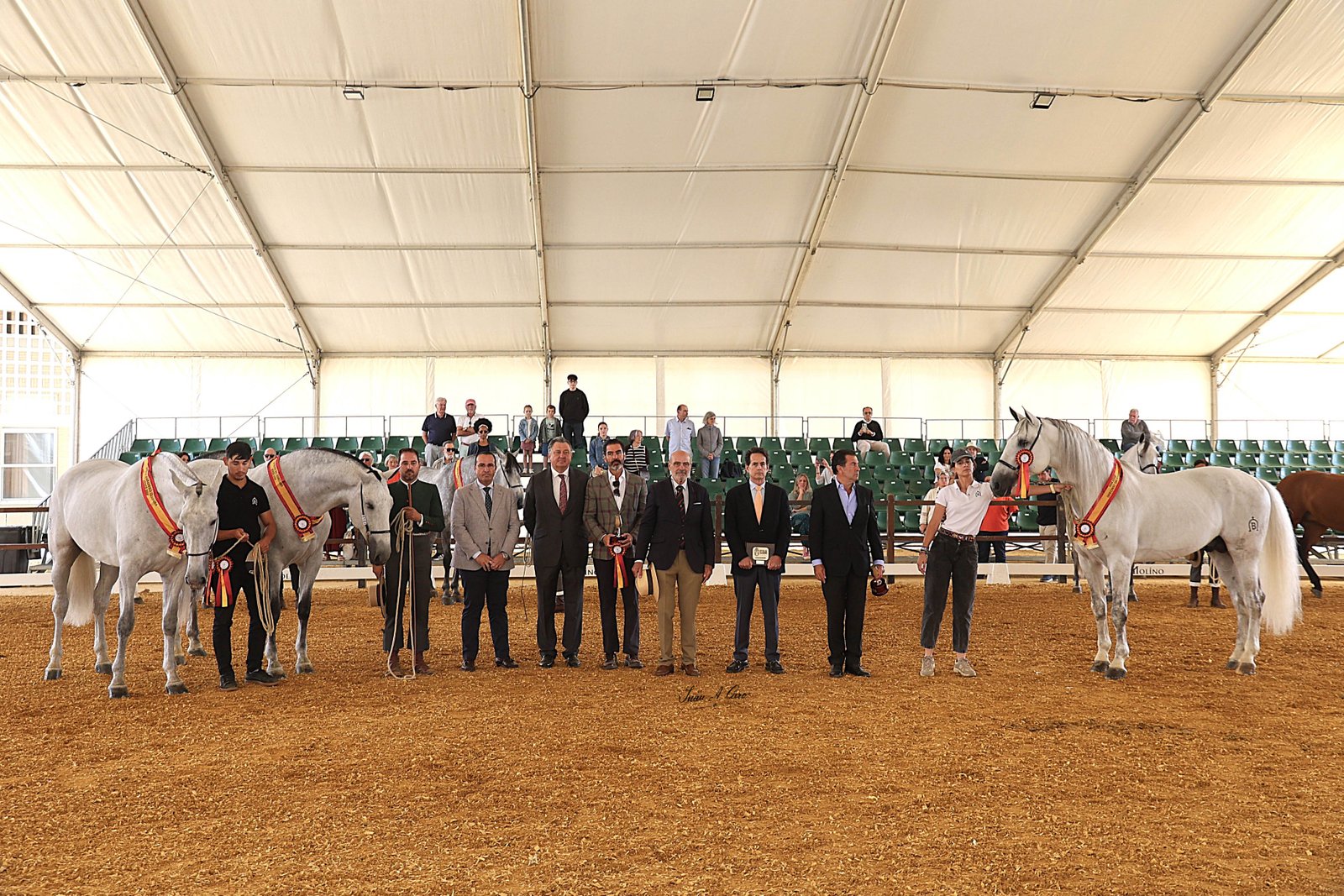 Premios Especiales PRE, Morfológico Anglo-Árabe y Enganches — Feria Ecuestre Jerez 2026
