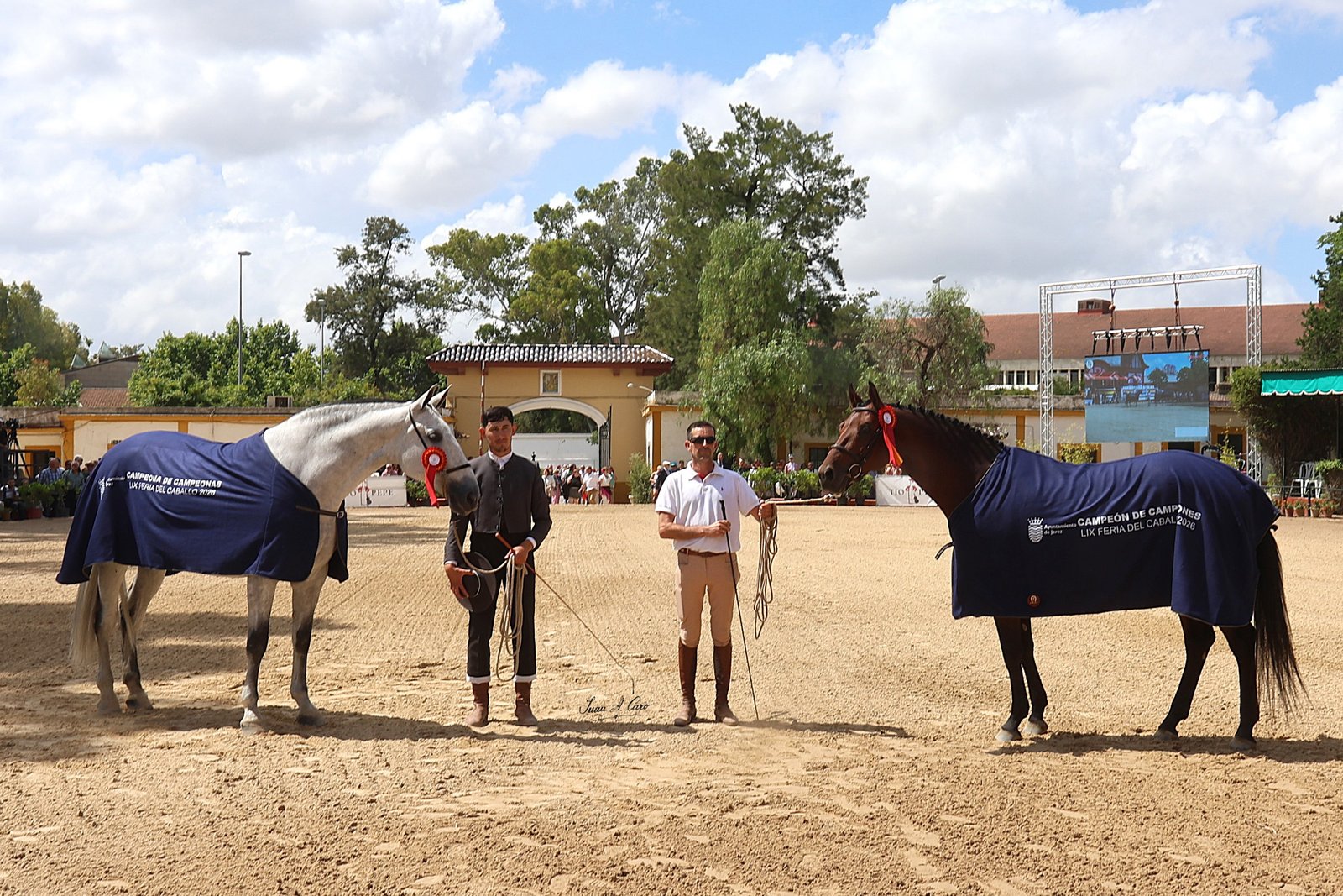 Campeón y Campeona de Campeones — Feria Ecuestre Jerez 2026