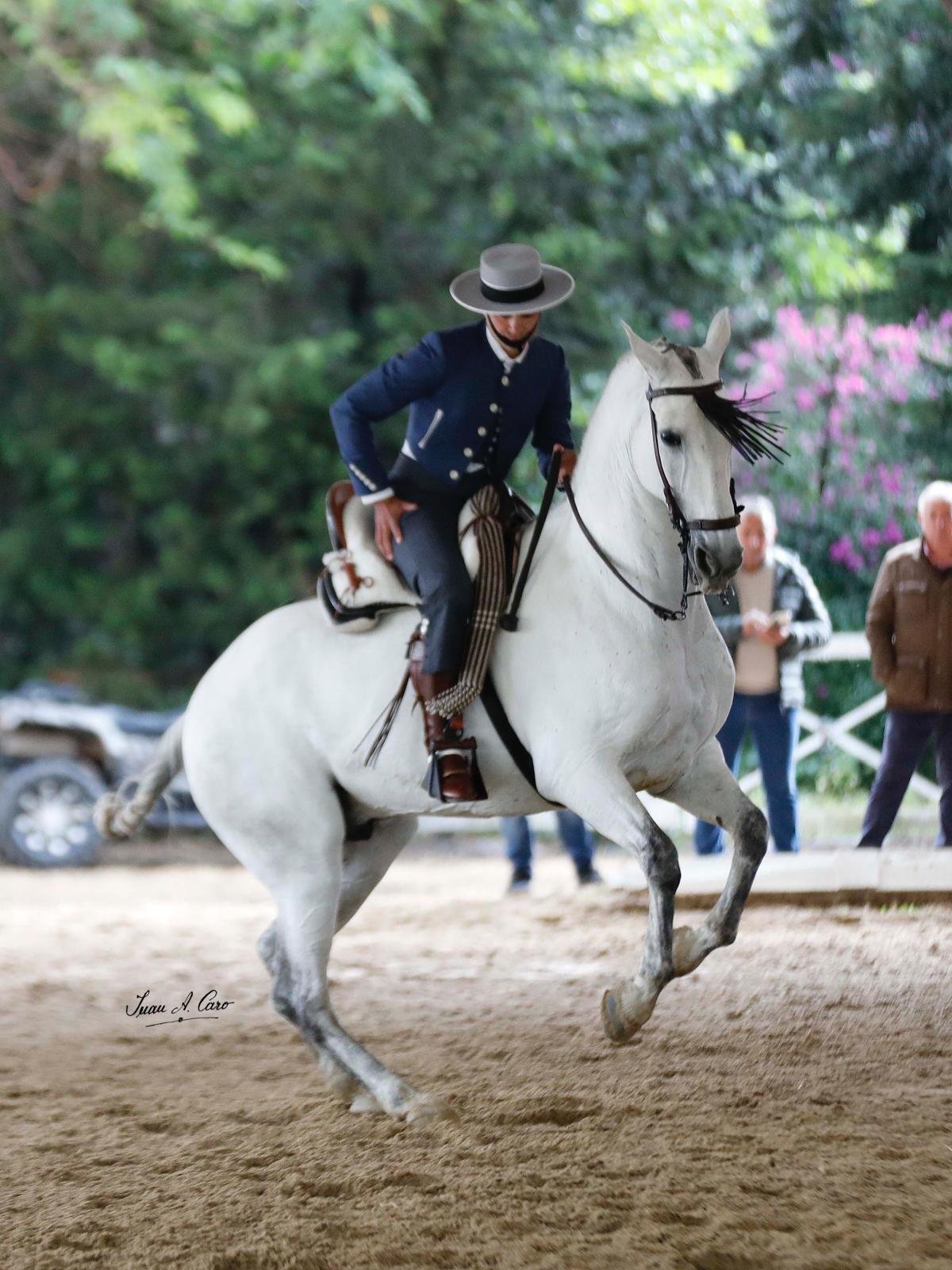 Doma Vaquera — Feria Ecuestre Jerez 2026