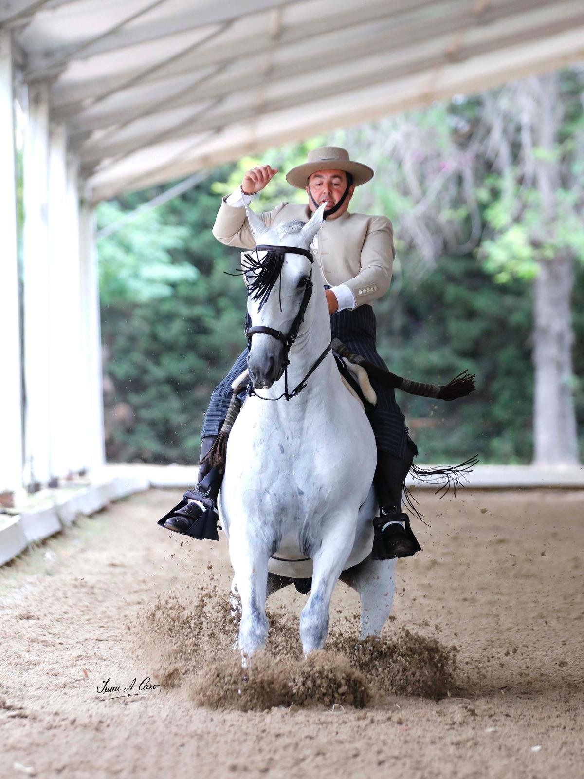 Doma Vaquera — Feria Ecuestre Jerez 2026