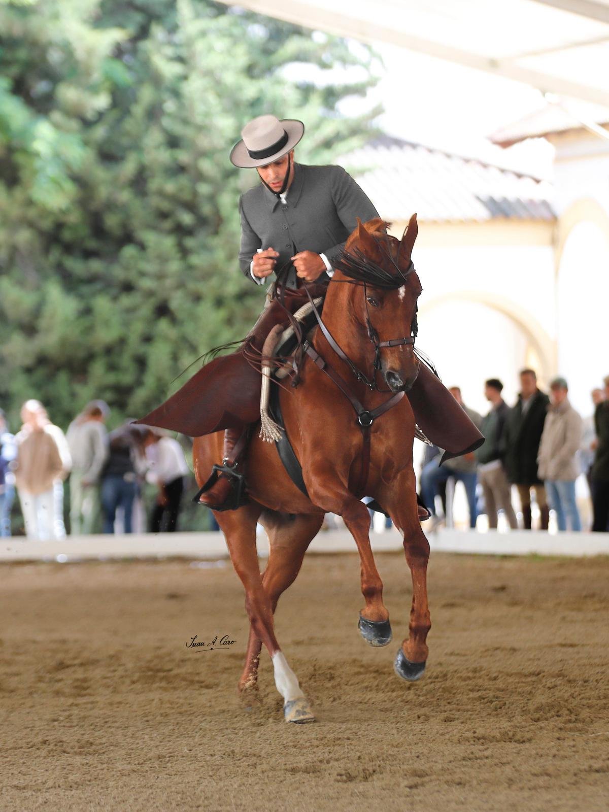 Doma Vaquera — Feria Ecuestre Jerez 2026