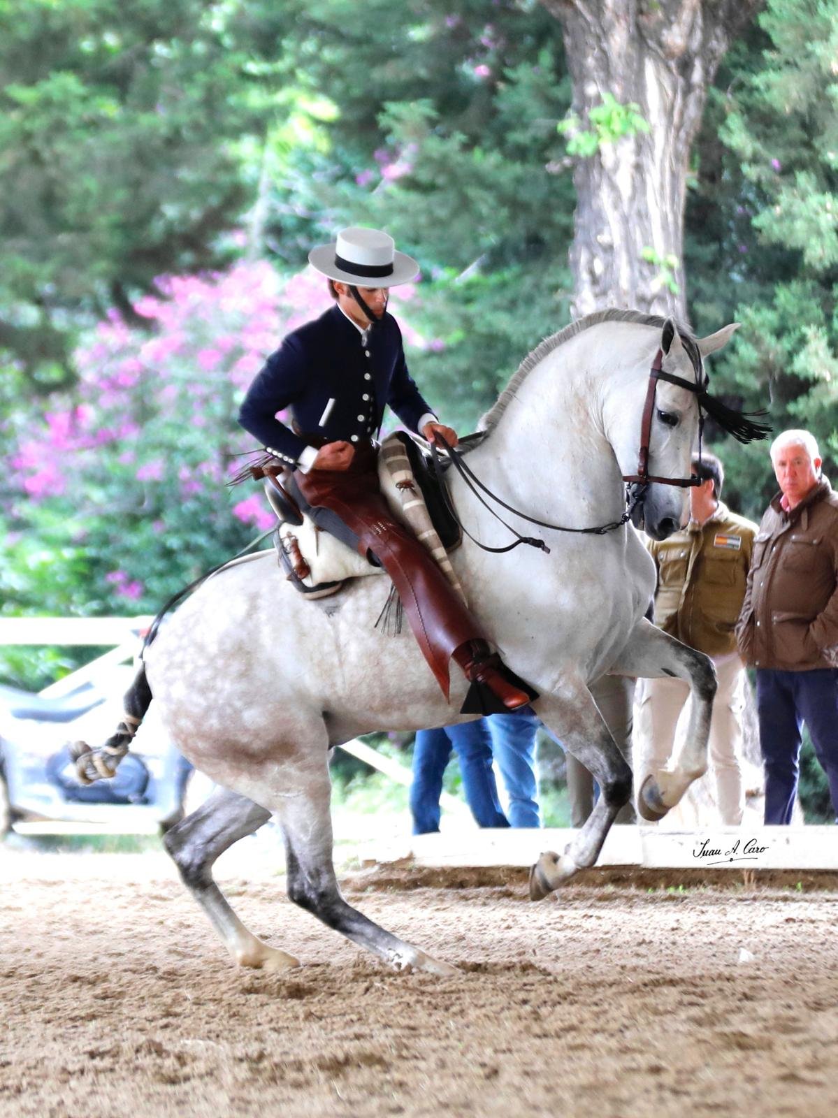 Doma Vaquera — Feria Ecuestre Jerez 2026