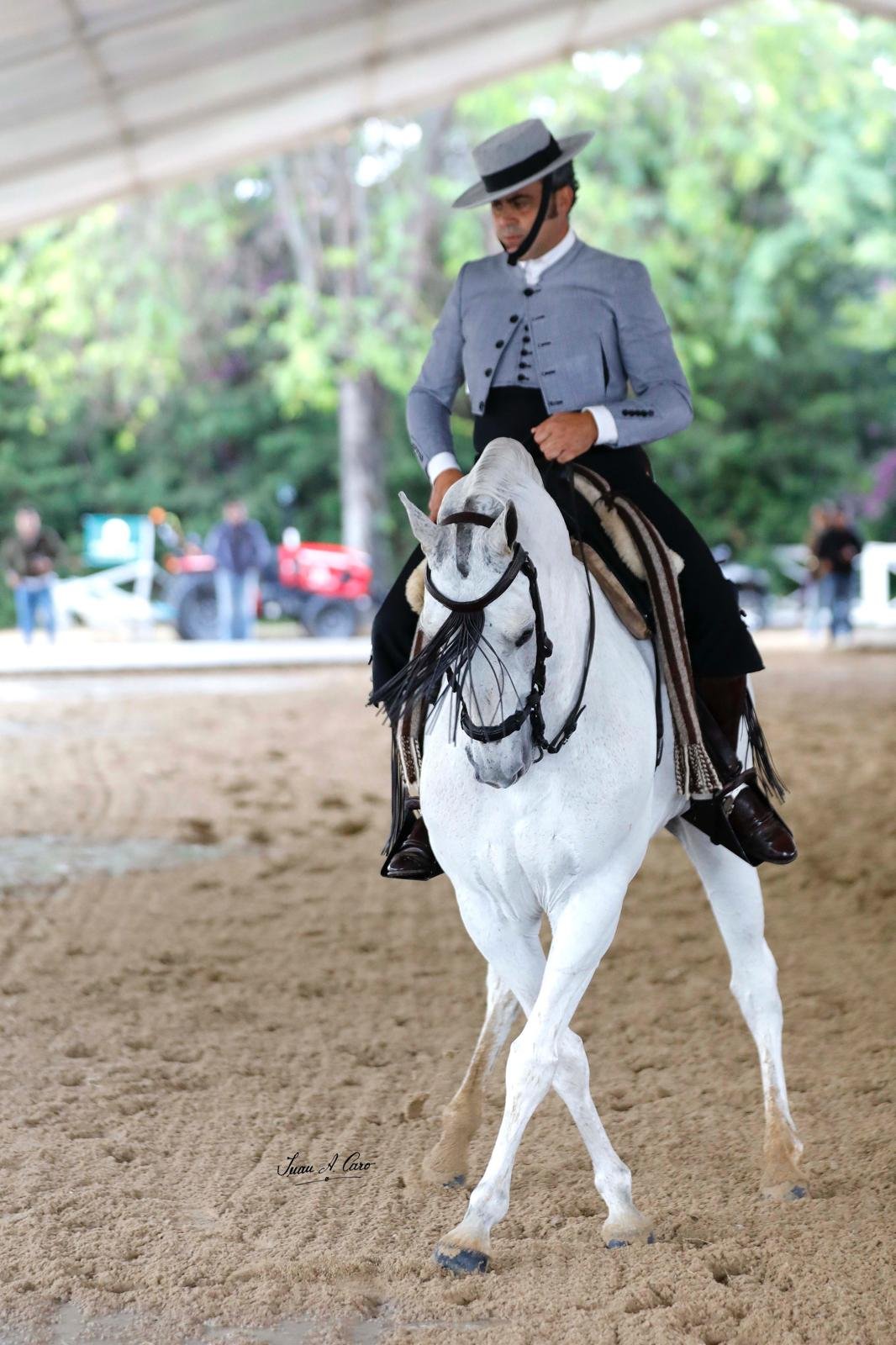 Doma Vaquera — Feria Ecuestre Jerez 2026