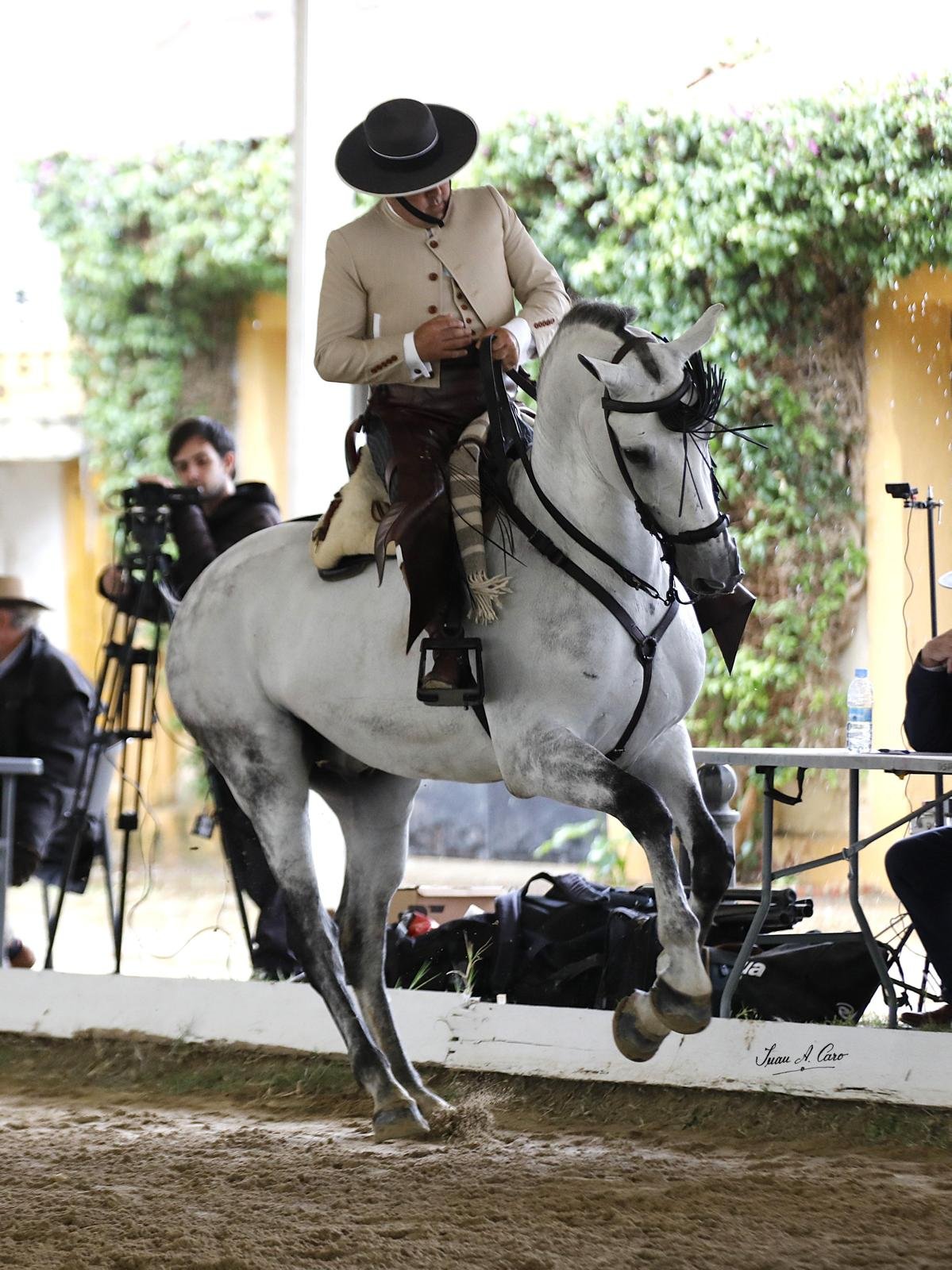 Doma Vaquera — Feria Ecuestre Jerez 2026