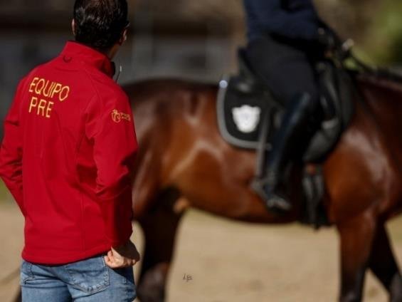 Sesión de Doma Clásica con técnico del Equipo PRE en la Yeguada Cartuja