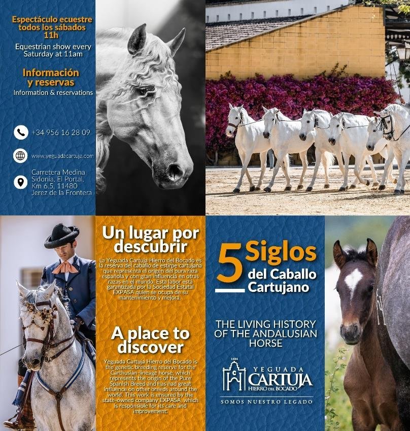 Espectáculo ecuestre y visita de los sábados en la Yeguada Cartuja Hierro del Bocado — Cinco siglos del Caballo Cartujano