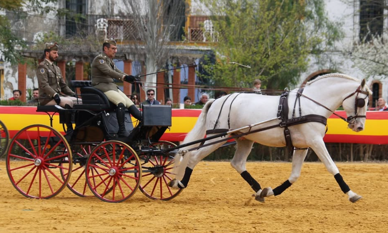 Prueba de enganches en Garrapilos, Jerez
